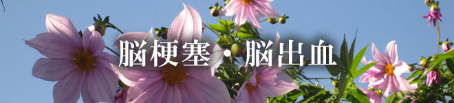 脳梗塞・脳出血
